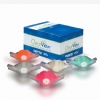 ADULT ClearView Single-Use Disposable Nasal Hood mask - (pkg. of 12) Adult Birthday Bubblegum (pkg. of 12)