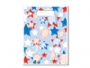 Scatter Bag - Star Tooth Clear 7x10 (100)