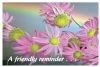 Recall Card - Pink Flowers Laser 4-Up (200)
