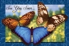 Recall Card - 3 Butterflies Laser 4-Up (200)
