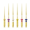 ApexFile Gold Taper Endodontic Rotary Files For Root Canals (6) AFGOLD